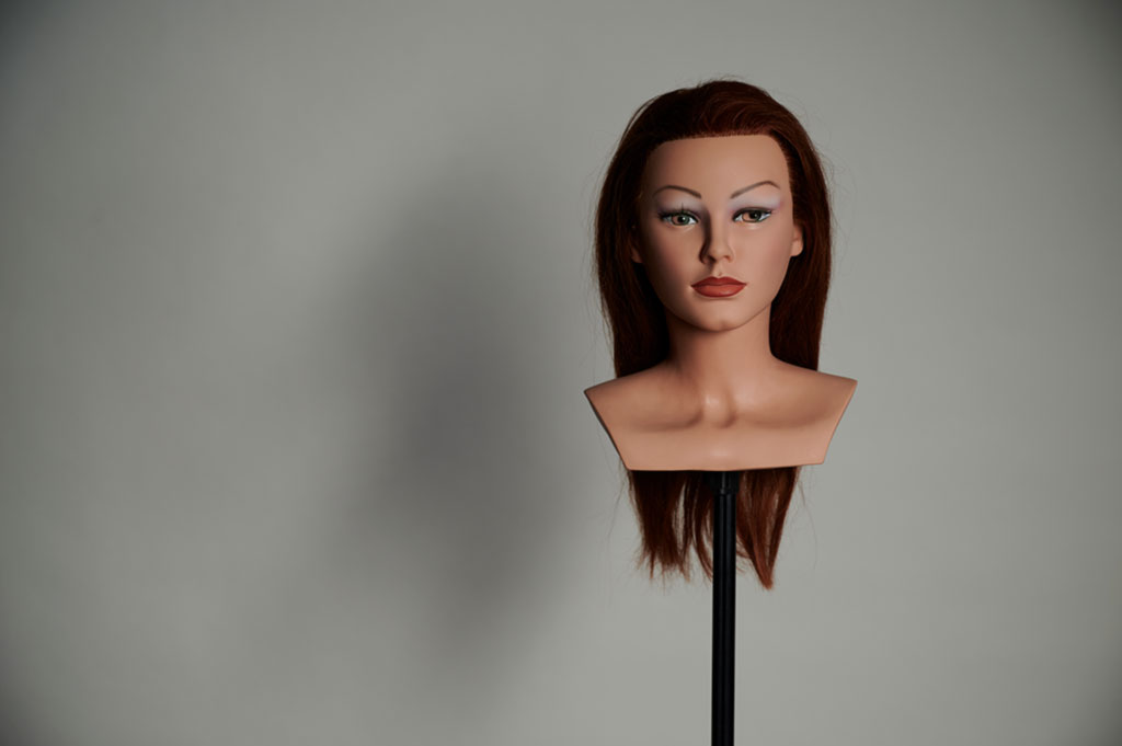 Softbox Long 120 x 30 cm by Aurora mit Speedring